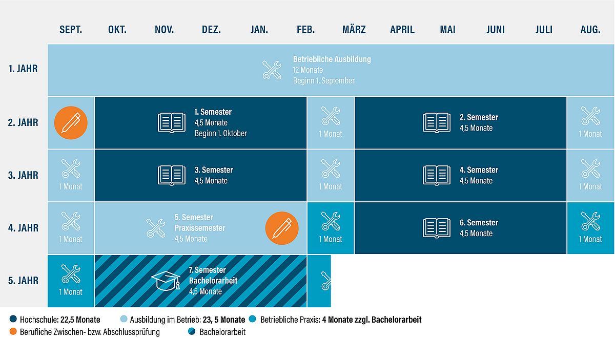 Darstellung des Studienablaufs im Verbundstudium